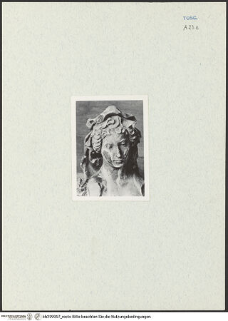 Vorderseite von bh299997_recto