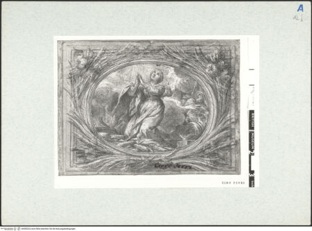 Vorderseite von bh300224_recto