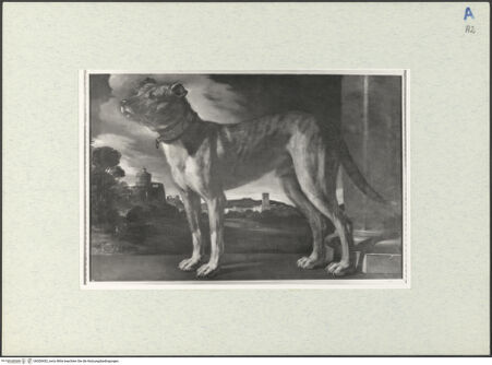 Vorderseite von bh300452_recto