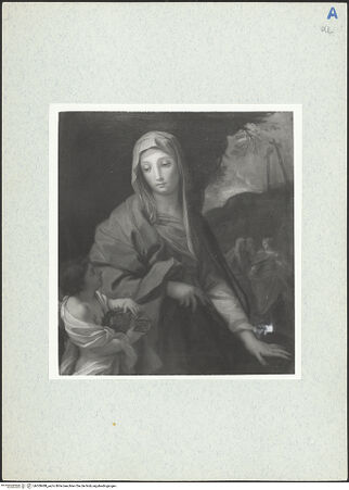 Vorderseite von bh300488_recto