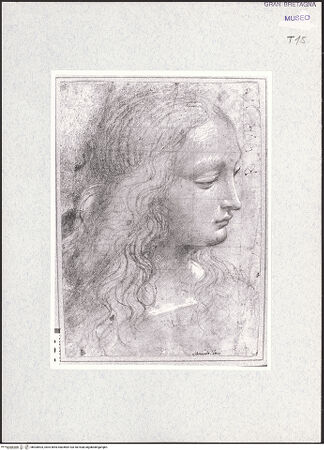 Vorderseite von bh300503_recto