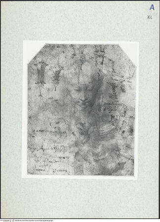 Vorderseite von bh300526_recto