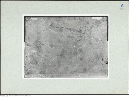 Vorderseite von bh300531_recto