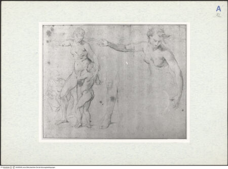 Vorderseite von bh300545_recto