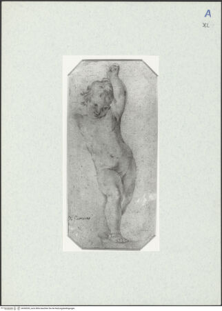 Vorderseite von bh300555_recto