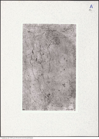 Vorderseite von bh300557_recto