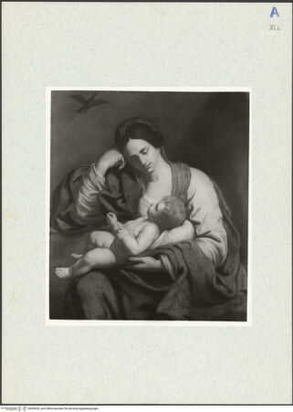 Vorderseite von bh300630_recto