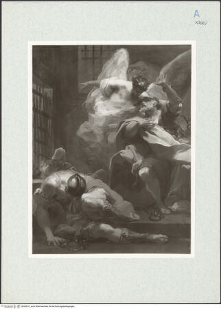 Vorderseite von bh300813_recto