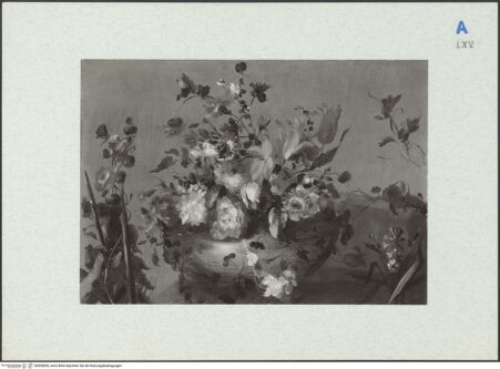 Vorderseite von bh300855_recto