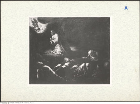 Vorderseite von bh300889_recto