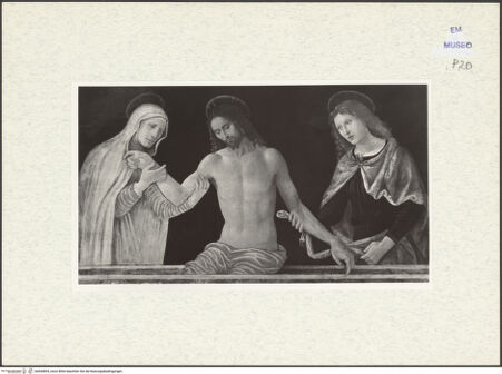 Vorderseite von bh300894_recto