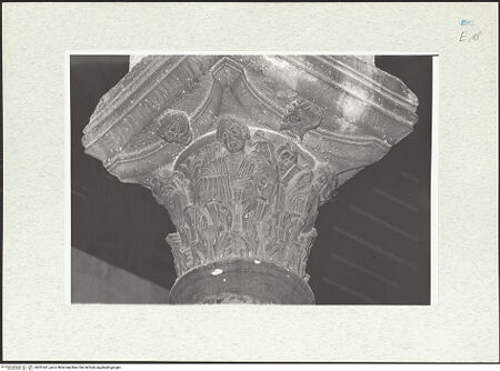 Vorderseite von Pace, Valentino [https://www.deutsche-digitale-bibliothek.de/content/lizenzen/rv-ez/] Kapitelle des LanghausesFünftes Kapitell links - Seitenansicht, bh301461_recto. Foto: Pace, Valentino.