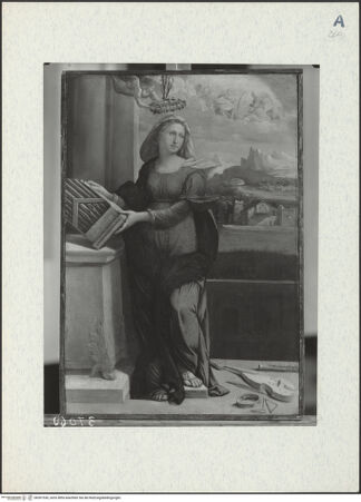 Vorderseite von bh301530_recto