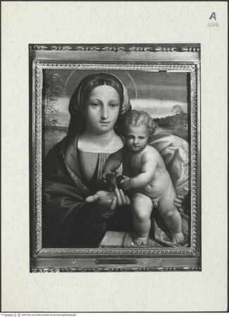 Vorderseite von bh301538_recto