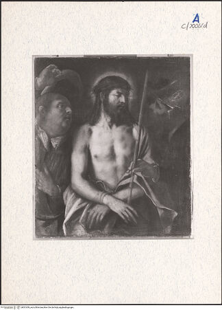 Vorderseite von bh301656_recto