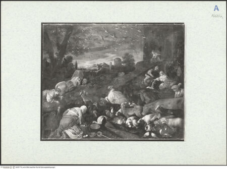 Vorderseite von bh301716_recto