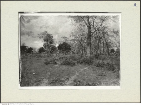 Vorderseite von bh301912_recto