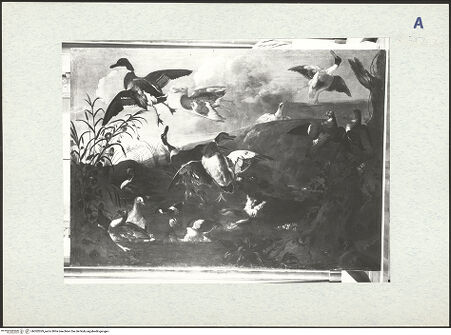 Vorderseite von bh302029_recto