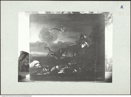 Vorderseite von bh302030_recto