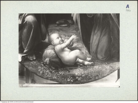 Vorderseite von bh302081_recto