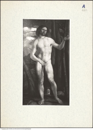 Vorderseite von bh302083_recto