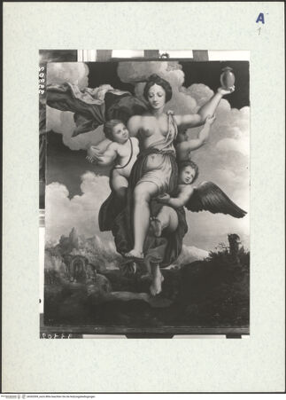 Vorderseite von bh302099_recto