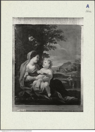 Vorderseite von bh302135_recto