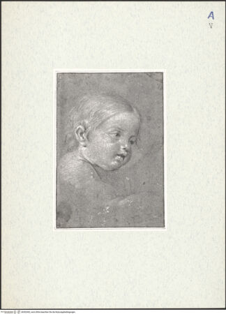 Vorderseite von bh302462_recto