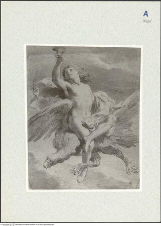 Vorderseite von bh302568_recto