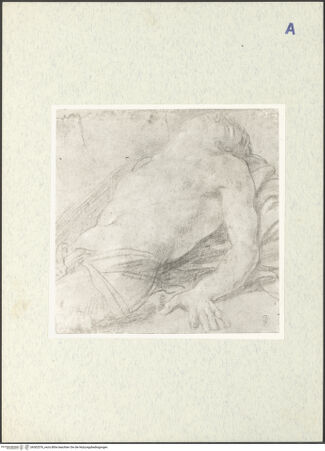 Vorderseite von bh302576_recto