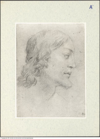 Vorderseite von bh302586_recto