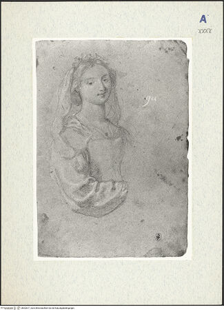 Vorderseite von bh302617_recto