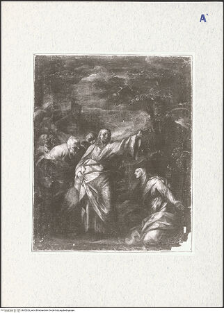 Vorderseite von bh302626_recto