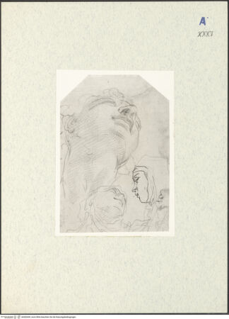 Vorderseite von bh302649_recto