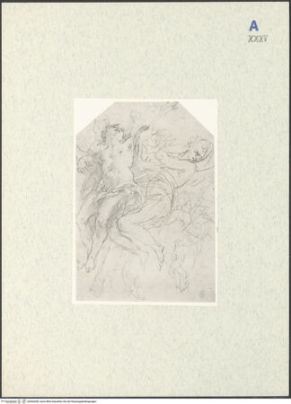 Vorderseite von bh302650_recto