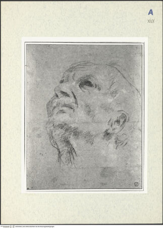 Vorderseite von bh302660_recto