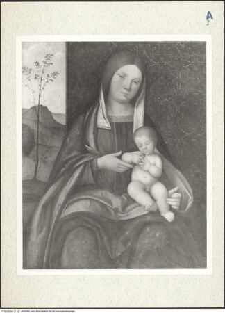 Vorderseite von bh302882_recto