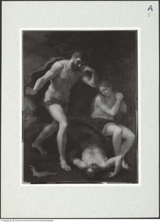 Vorderseite von bh303383_recto