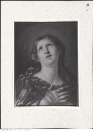 Vorderseite von bh303404_recto