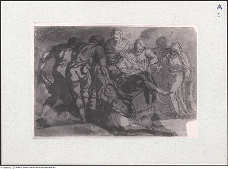 Vorderseite von bh303429_recto