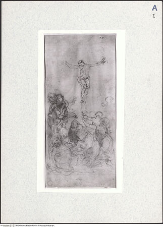 Vorderseite von bh303446_recto