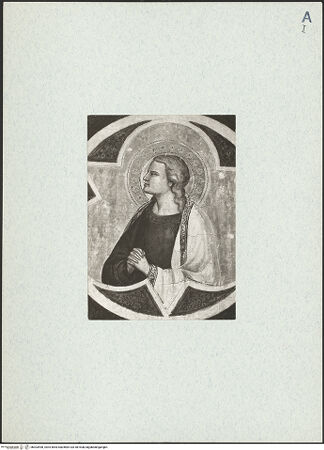 Vorderseite von Bibliotheca Hertziana [https://www.deutsche-digitale-bibliothek.de/content/lizenzen/rv-fz/] Johannes der Evangelist in gotischem Dreipass - Ausschnitt der Figur, bh303498_recto. Foto.