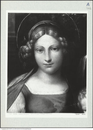 Vorderseite von bh303515_recto