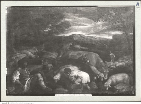 Vorderseite von bh303519_recto