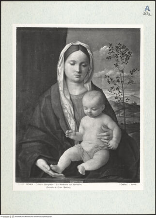 Vorderseite von bh303534_recto