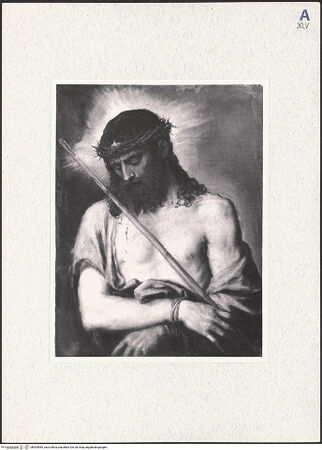 Vorderseite von bh303585_recto