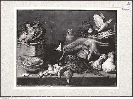 Vorderseite von bh303605_recto