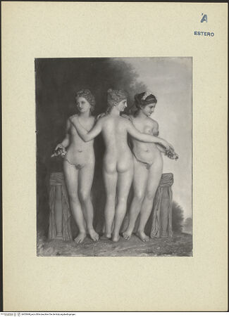 Vorderseite von bh303848_recto