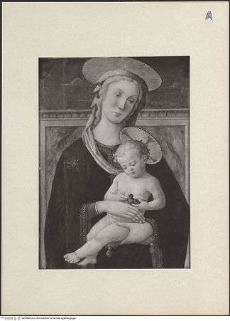 Vorderseite von bh303849_recto