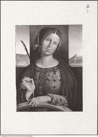 Vorderseite von bh303862_recto